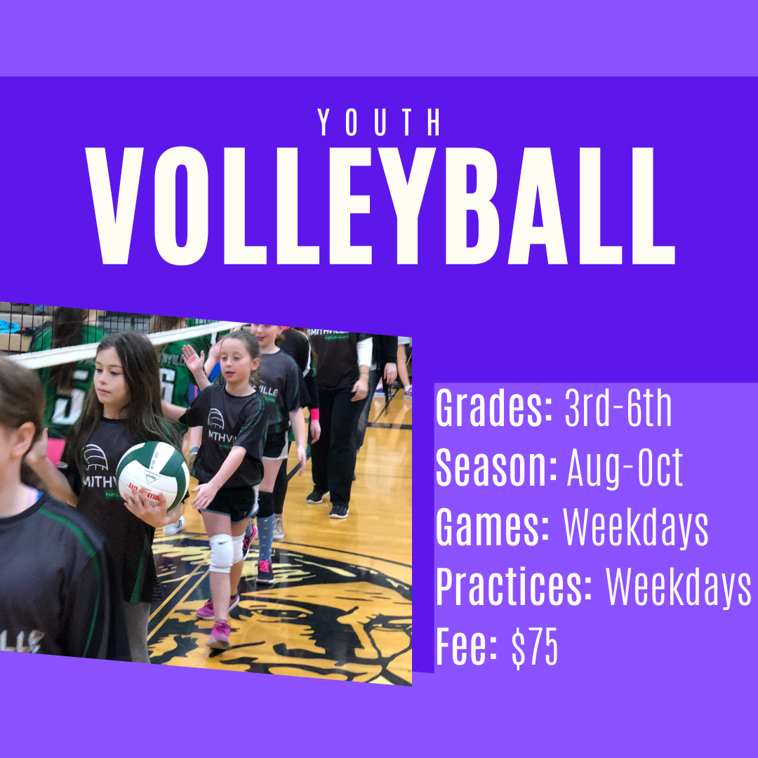 Volleyball fall